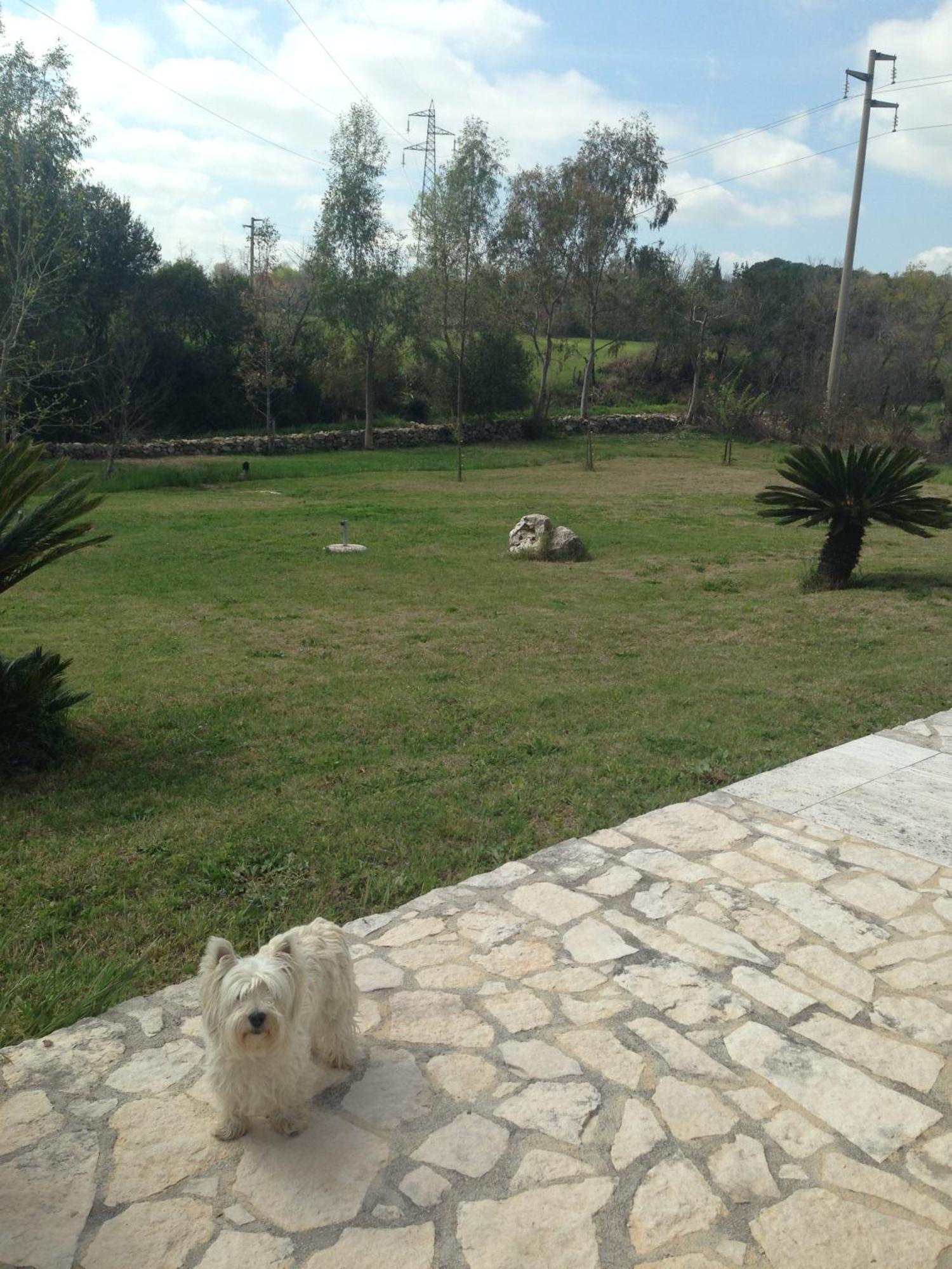 Bagno Santo Residence Saturnia Quarto foto